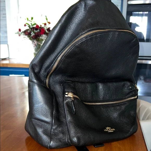 Coach Black Leather Backpack with Gold Accents - Picture 2 of 5